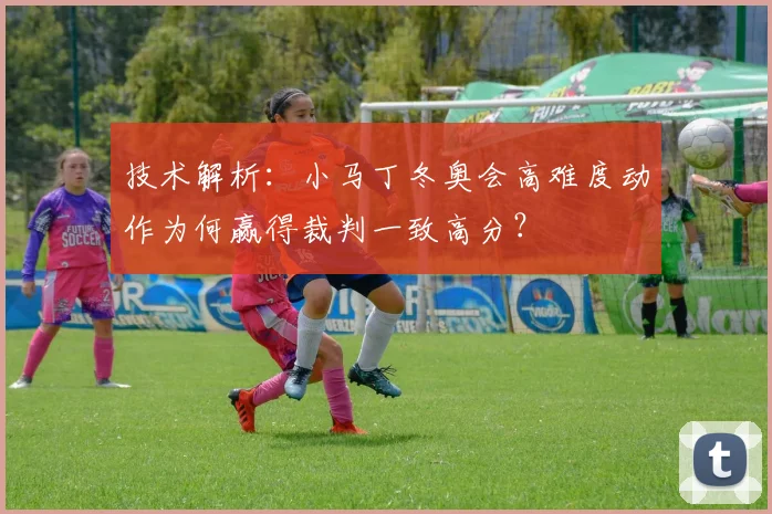 技术解析：小马丁冬奥会高难度动作为何赢得裁判一致高分？