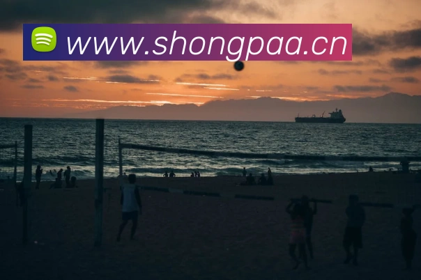 App Interface Preview